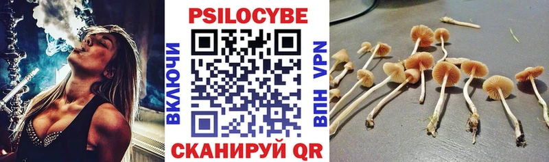 МЕГА зеркало  Тамбов  Псилоцибиновые грибы прущие грибы 